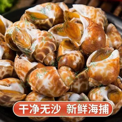 深海鲜味，顺丰到家——五斤超大花螺，鲜活与冷冻兼得的海洋馈赠