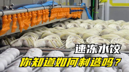 日产百万个饺子 速冻水饺工厂的震撼场面与鲜活水产冷冻探秘