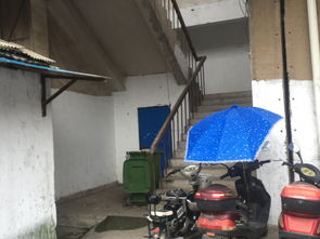 冷冻厂宿舍的鲜爽记忆 鲜活冷冻水产品的每一刻变革
